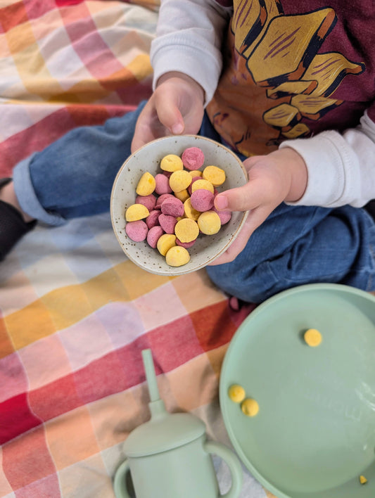 Mixed Case - Strawberries N' Cream & Tropical Smoothie Melts (12 Bags - 36+ Servings)